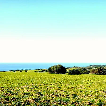 Oasi Di Scivu